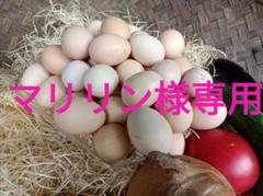 マリリン 大和地鶏 80個 烏骨鶏 20個 10000円 マリリン様専用 大和地鶏 80個 烏骨鶏 20個 10000円 - メルカリ