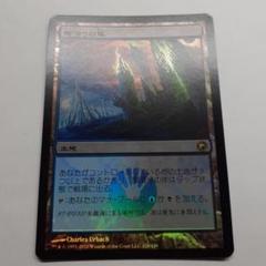 Darkslick Shores 闇滑りの岸 foil 4枚セット darkslick_shores_en_4f77e0b918.jpg