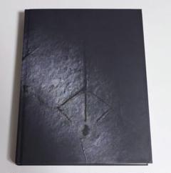 ブラッドボーン コレクターズエディションガイド Apparantly there is a collector's edition guide on sale : r