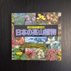 山渓カラー名鑑 ３冊セット きのこ、高山植物、野草 楽天市場】山渓カラー名鑑 日本のきのこの通販