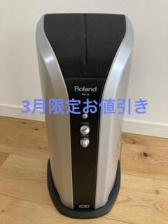 3月限定値引き‼️ Roland パーソナルドラムモニター PM-03