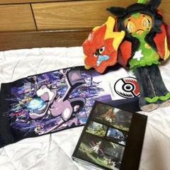 ポケモンカードゲーム コレクションファイル プレミアム は