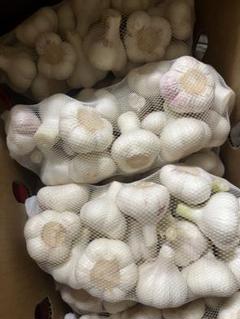 青森県産 令和7年産 生にんにく M 玉 5kg - メルカリ