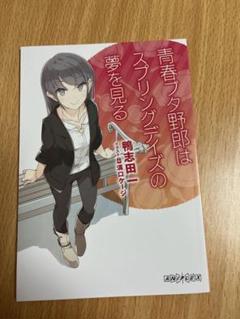 2025年最新】青ブタ 映画特典 小説の人気アイテム - メルカリ