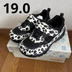 【防水】EASTEND EXCLUSIVE PACKアニマル 人気完売23㎝ HI-TEC（ハイテック）の「【HI-TEC/ハイテック】EASTEND