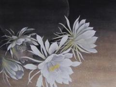 江川敦志、【キャベツ】、希少な額装用画集より、状態良好、新品額装付 江川敦志、【月下美人】、希少な額装用画集より、状態良好、新品