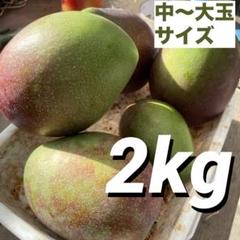 摘果マンゴー グリーンマンゴー 青マンゴー 7kg 150g〜300g 沖縄県産 摘果マンゴー 青マンゴー グリーンマンゴー2kg - メルカリ