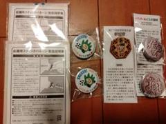 ⭐️限定⭐️ とちぎ国体セット いちご一会とちぎ国体 記念品 栃木国体 記念バッチ 応援用