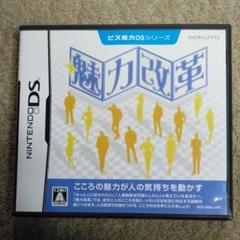 ビズ能力DSシリーズ 魅力改革
