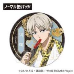 梶蓮 チャイナアクション 缶バッジ 40個 WIND BREAKER ホログラム缶バッジ チャイナアクション 梶蓮