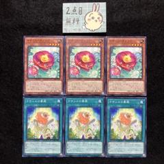 12790 遊戯王　ナチュル　DT/ターミナル　デッキパーツ 遊戯王 - 遊戯王 ナチュル デッキパーツ 32枚セットの通販 by