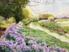 629＊ショカッサイの遊歩道 水彩画 原画 透明水彩画 - メルカリ