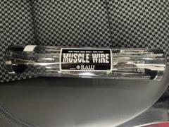レイドジャパンマッスルワイヤー　フルフィッシュホロ　ハーフフィッシュガンメタホロ Amazon.co.jp: レイドジャパン(Raid Japan) MUSCLE WIRE