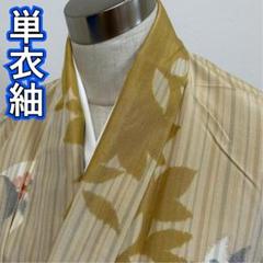 KP49 準美品 単衣 紬 身丈157cm 夏用 広襟 着物 正絹