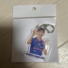 2025年最新】PFUブルーキャッツの人気アイテム - メルカリ