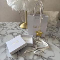 箱、袋付き】DIOR ピアス