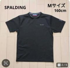 SPALDING 半袖Tシャツ Mサイズ 160cm ダークグレー