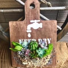 多肉寄せ植え