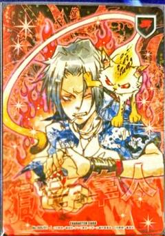 Amazon.co.jp: SR 獄寺隼人 沢田綱吉 カード CCG 家庭教師