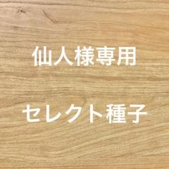 野菜種子 EAU もものすけ(サラダカブ) 20粒 x 2個のサムネイル