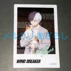 桜遥 WIND BREAKER カラオケまねきねこ クリアカード