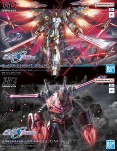 2品セット】HG ブラックナイトスコードカルラ／ズゴック SEED
