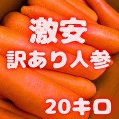 2025年最新】人参 20kgの人気アイテム - メルカリ