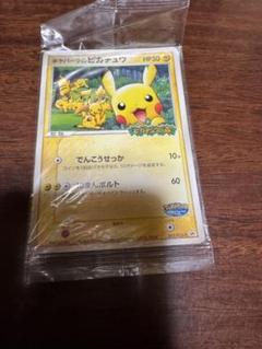 ポケパークのピカチュウ ピカチュウの森 ポケカ プロモ