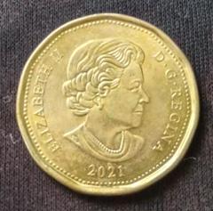 海外コイン　紀念幣　金貨 カナダ　　6枚まとめ　極美品 H13 82863