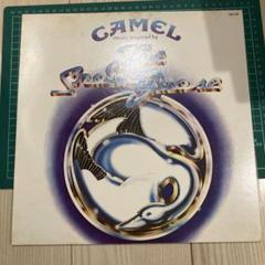 The Snow Goose CAMEL スノー・グース キャメル GP-156