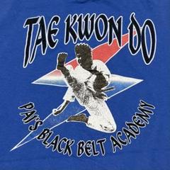 テコンドー 90s シングルステッチ Tシャツ ヘインズ ヘビーウエイト 陰陽