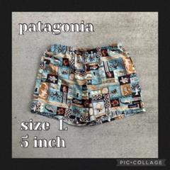廃盤21年製 patagonia バギーショーツ 5インチ 総柄