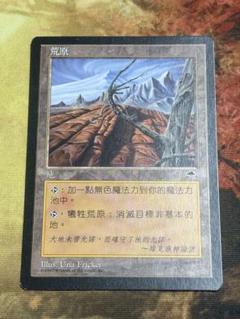 MTG 不毛の大地(日本語　英語) 4枚セット 不毛の大地 日本語 4枚組