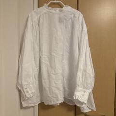 オオカミとフクロウ》オオカミと穀雨のココ
