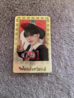 JO1 in wonderland チェンジングカード 全員セット コンプ JO1 in wonderland チェンジングカード 全員セット コンプ