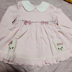 シャーリーテンプル　うさぎ