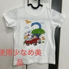 2025年最新】ファミリア恐竜の人気アイテム - メルカリ