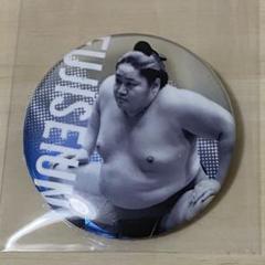 大相撲　藤青雲　関取全員集合缶バッジ　ガチャ　（7月名古屋場所）