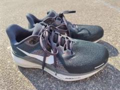 Nike Running ペガサス 41 ワイド FN4932-002