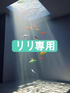 リリ専用