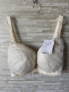 「B80&L」の2セットトリンプ フロラーレストレリチア極楽鳥花 ブラ&ショーツ SS23_Florare_08_S.png
