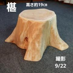 サワラ 天然木 切り株 丸太 椅子 スツール 高さ約31㎝ 天然サワラ 切り株 丸太 椅子 スツール 高さ約19㎝ - メルカリ