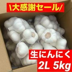 大感謝セール】新物 青森県産 生にんにく 2L 5kg 福地ホワイト六