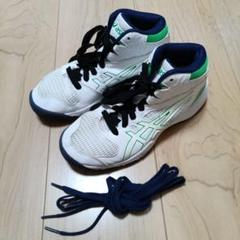 ASICS ダンクショット 21.5