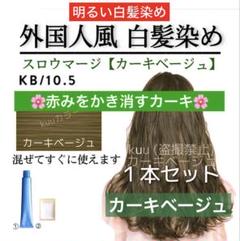 資生堂 ヘアカラー アルティスト プリミエンス【イルミナカラー