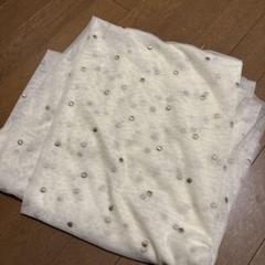 チュール生地 刺繍装飾 生地 ハンドメイド 文化服装 布 手芸
