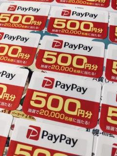 アサヒPayPay24枚