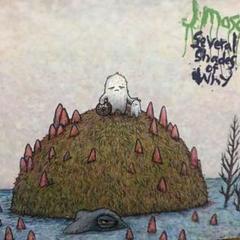 J mascis several shades of why ダイナソーjr