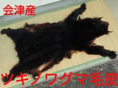 ツキノワグマ毛皮 2025年最新】ツキノワグマ 毛皮の人気アイテム - メルカリ