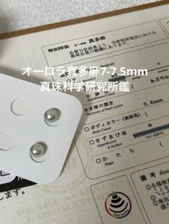 2025年最新】真多麻の人気アイテム - メルカリ